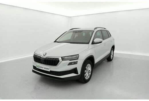 Skoda 2.0 TDI 115 Clever