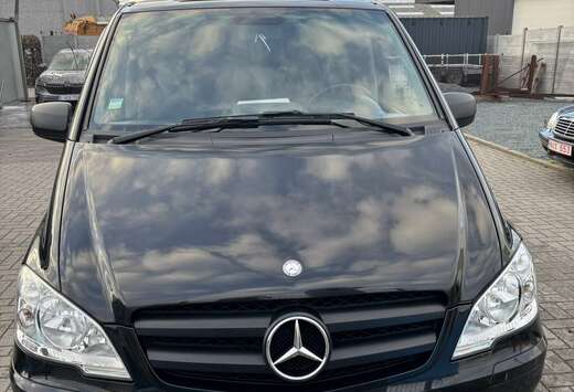 Mercedes-Benz 113 CDI Lang Mixto (LKW)