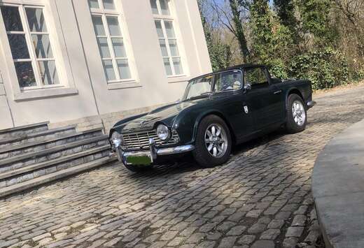 Triumph Remise en ordre complet