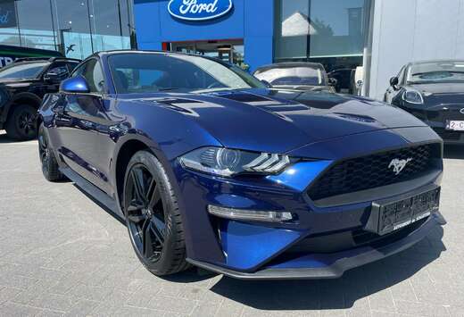 Ford 2.3 Fastback 315pk Automaat