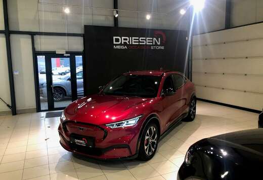 Ford 76 kWh AWD BASE  BIJ DRIESEN BREE 089/461610