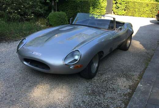 Jaguar Semi lightweight