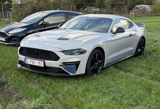 Ford 2.3 EcoBoost