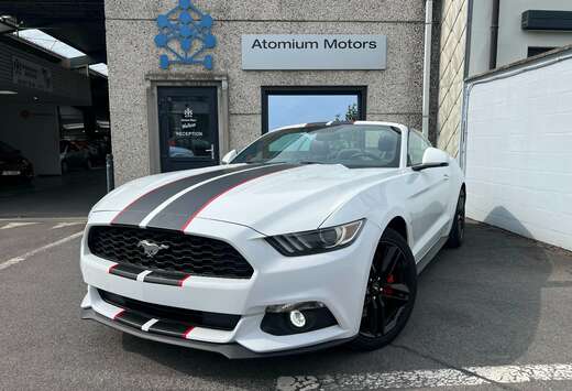 Ford Cabrio 2.3 EcoBoost