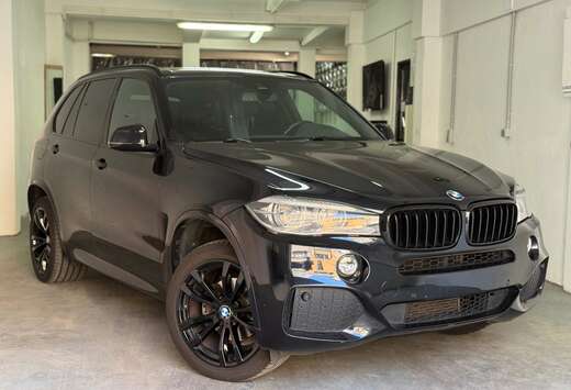 BMW X5 sDrive25d M-Sport 7pl /Navi/Camera/Trekhaak