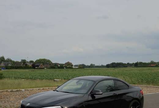 BMW Coupé 3.0 DKG Individual