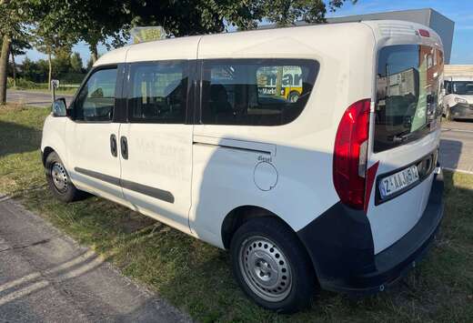 Fiat Maxi 1.3 Multijet Base (EU6)