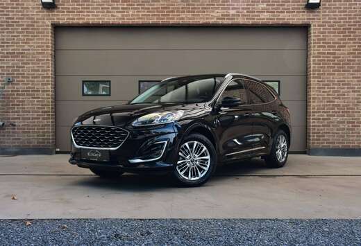 Ford 2.5 ECOBOOST / PHEV / VIGNALE / SCHUIFDAK / CARP ...