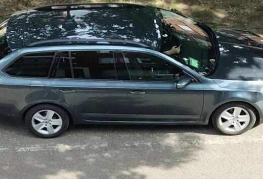 Skoda SW 1.6 CR TDi Ambition DSG