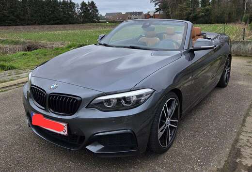 BMW Cabrio 218i OPF