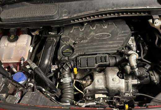 Ford Transit Connect 210 1.5 TDCi Trend (EU6.2)