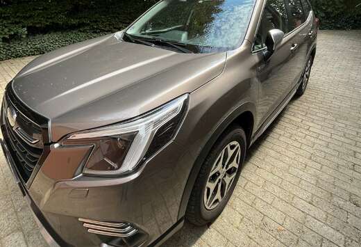 Subaru Forester 2.0i-S e-Boxer Luxury