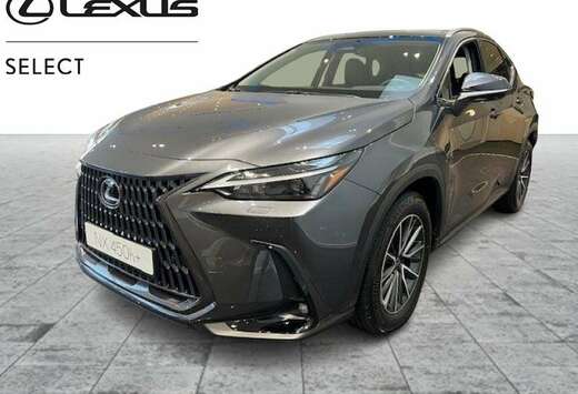 Lexus Executive Line