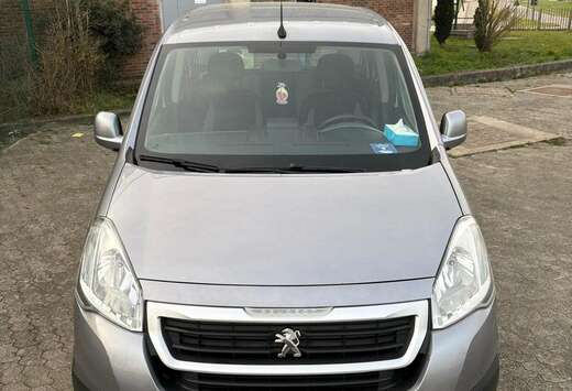 Peugeot Tepee 1.6 HDi FAP 110ch Outdoor Pack Série S ...