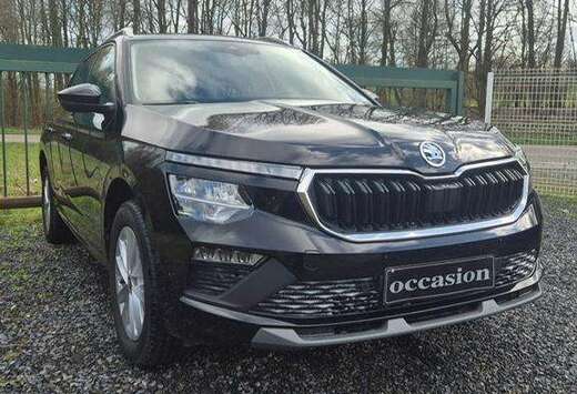 Skoda Kamiq 1.0 TSI Selection DSG