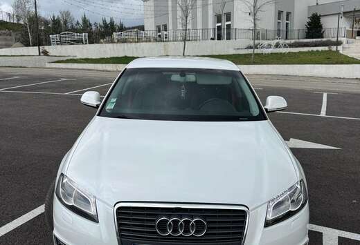 Audi 1.9 TDIe DPF