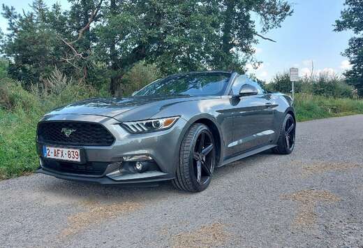 Ford Convertible 2.3 EcoBoost