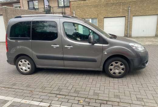 Peugeot 1.6i L1H1 Confort 120 (EU5)