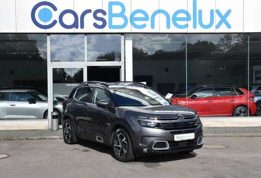 Citroen 1.2 130 Shine EAT8 CUIR ACC LANE SIDE CAM360  ...