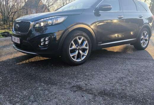 Kia 2.2 CRDi AWD Aut. Platinum Edition