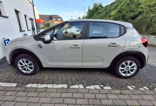 Citroen You