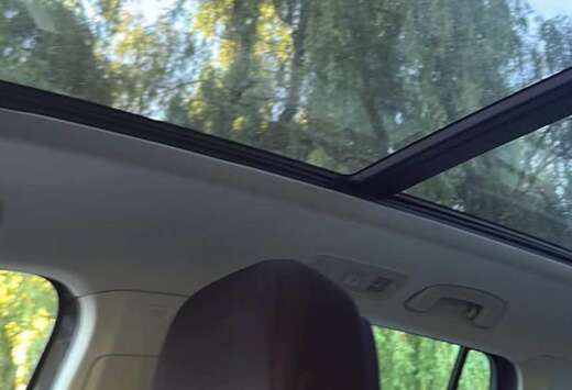 Volkswagen 1.5 TSI Platinum OPF DSG