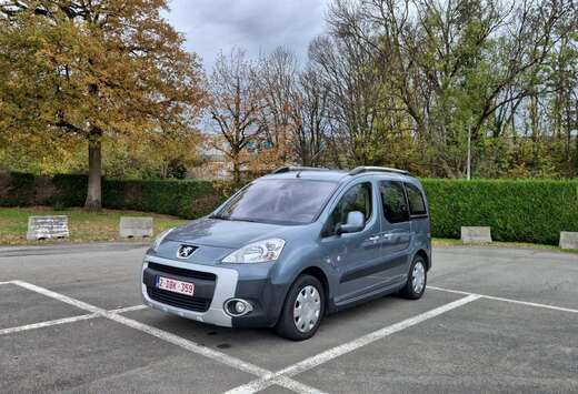 Peugeot Tepee 1.6 HDi Family FAP