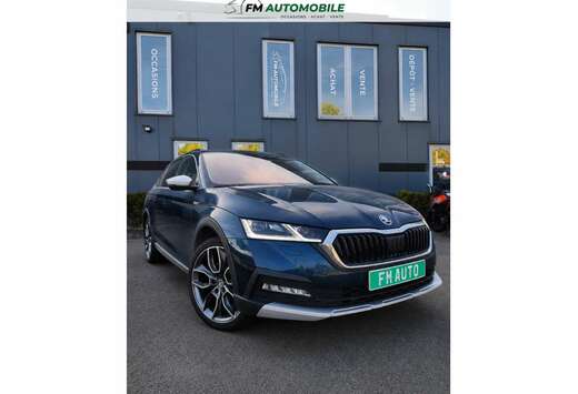 Skoda RS Scout 2.0 TDI DSG 4x4 /Pano/Canto/AHK