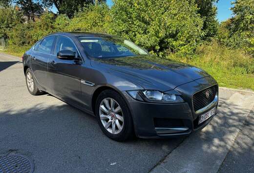 Jaguar XF 2.0 D E-Performance Business Ed.Prestige
