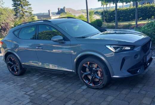 Formentor 2.0 TSI 4Drive VZ DSG