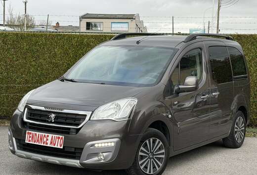 Peugeot Tepee 1.6 BlueHDi 100 Cv Style