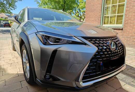 Lexus 2.0i AWD Privilege Line