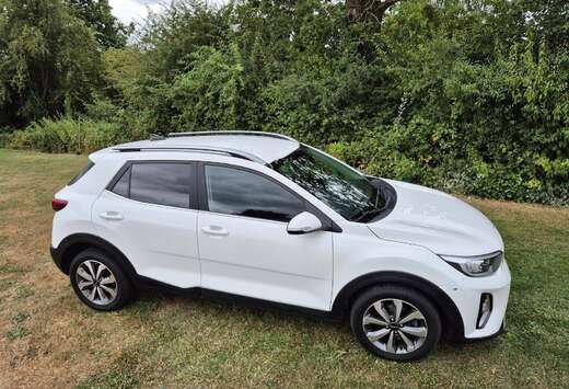 Kia 1.0 T Pulse ISG