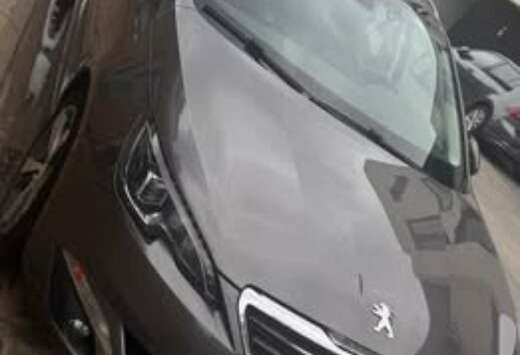 Peugeot SW 1.6hdi Panoramisch Dak