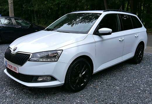 Skoda Fabia SW 1.0 TSI 110PK DSG 2019 99DKM 12M GARAN ...