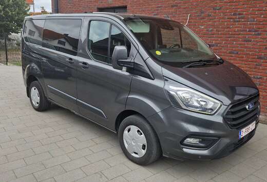 Ford 290 L2H2 Lkw VA Trend