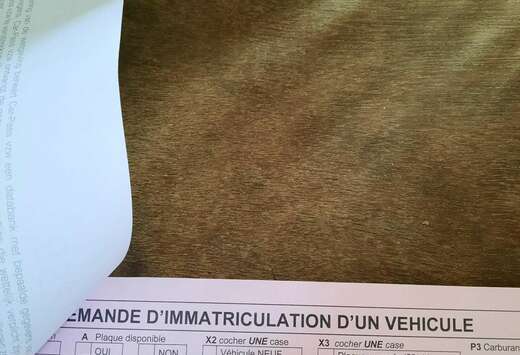 Renault 1.5 dCi Business (Fleet)