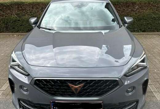 VZ 2.0 TSI 4Drive DSG