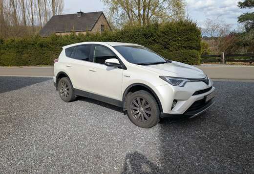 Toyota RAV4 Hybrid 2.5i 2WD e cvt Dynamic lhd