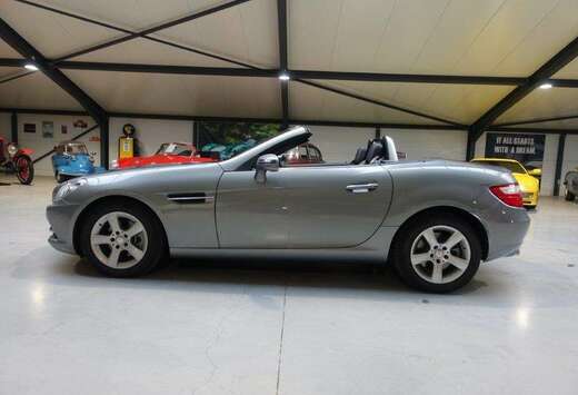 Mercedes-Benz 6 speed manual, panoramic roof