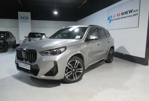 BMW 25E Hybr M Sport Surround TrekH LED PDC Carplay