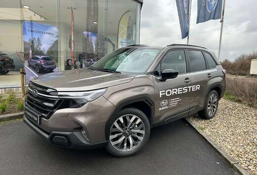 Subaru 2.0i e-Boxer Premium CVT  Safe8