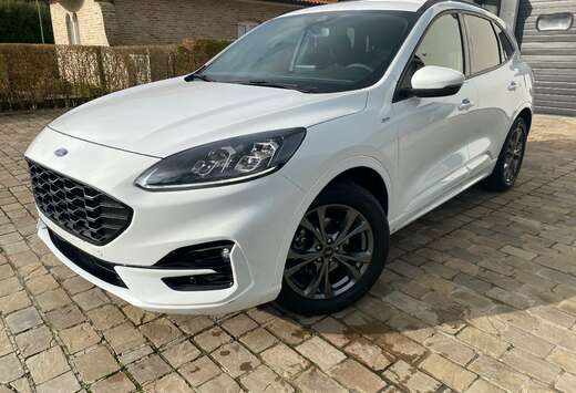 Ford 2.0 EcoBlue Aut. ST-LINE