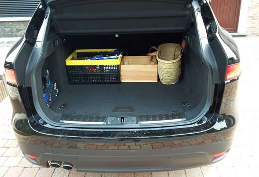 Jaguar SUV/4x4/Pick-up