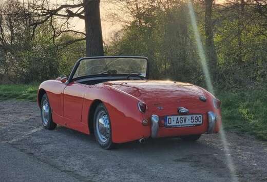 Frogeye
