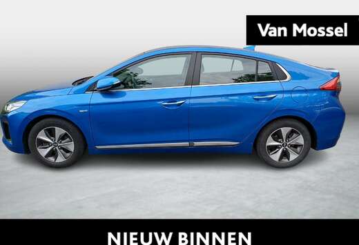 Hyundai Electric Executive