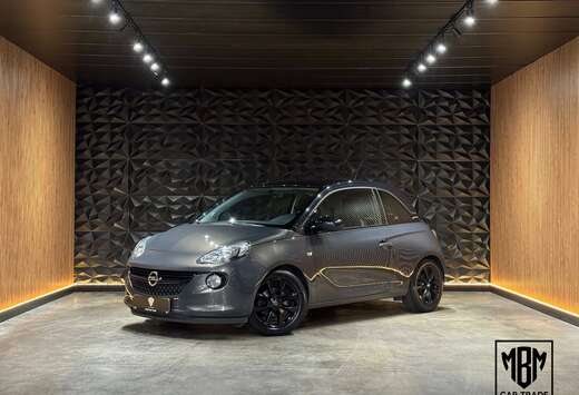 Opel 1.2i 12 Maanden GARANTIE Airco Cruise Control Pa ...