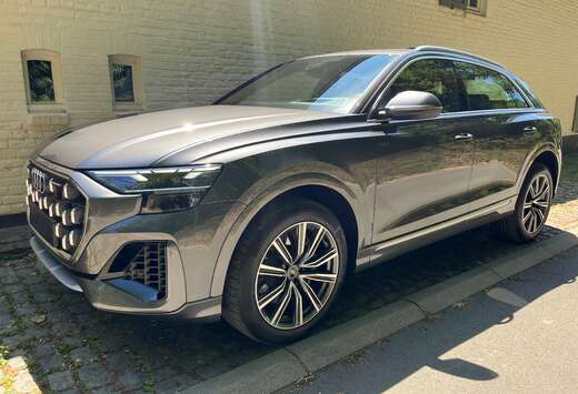 Audi Q8 SUV e-hybrid 55 TFSI e Quattro (290 kW)