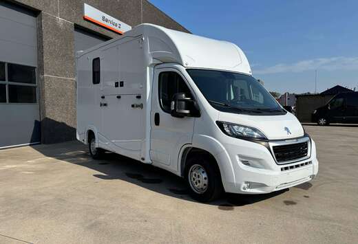 Peugeot 2.2 BlueHDi paardenwagen