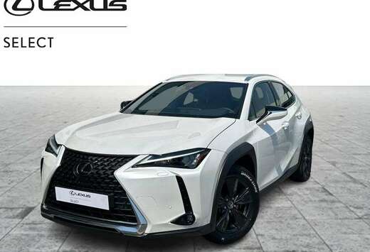 Lexus Business Line
